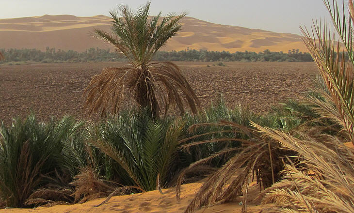Mandara Dried Lake