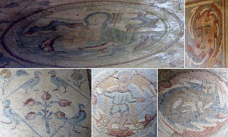 Agii Apostoli: details of the floor mosaic