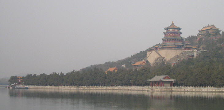 View of the Longevity Hill