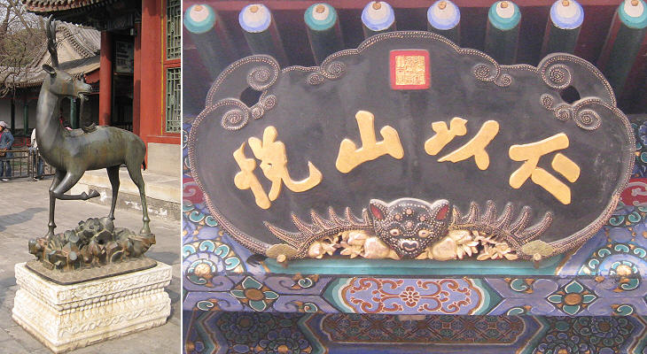 Details of decorative elements (2)