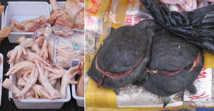 Bored with usual food? Beijing small markets offer many alternatives