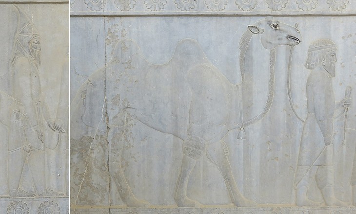 a member of the delegation from Scythia