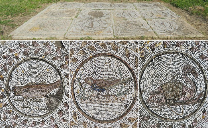 Isolated floor mosaic with fish and birds