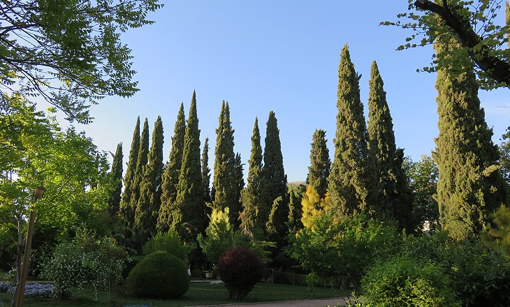 Bagh-e Eram