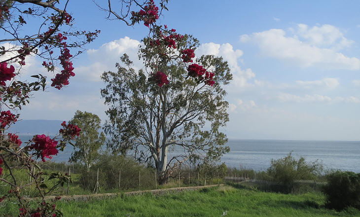 Northern shore of the Sea of Galilee aka Lake of Tiberias