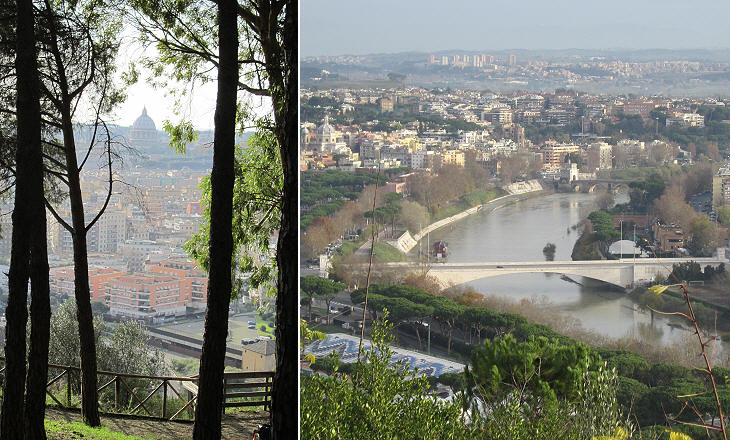 View
