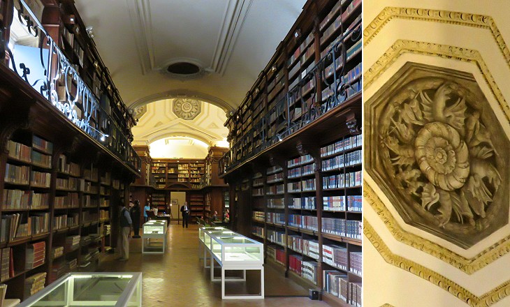 Biblioteca