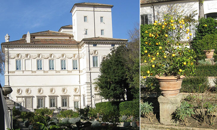 (left) Giardino dei Melangoli; (right) a lemon tree