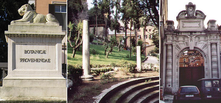 Salviati gardens